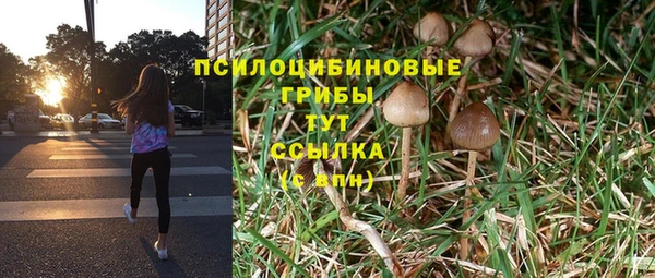 меф Алексеевка