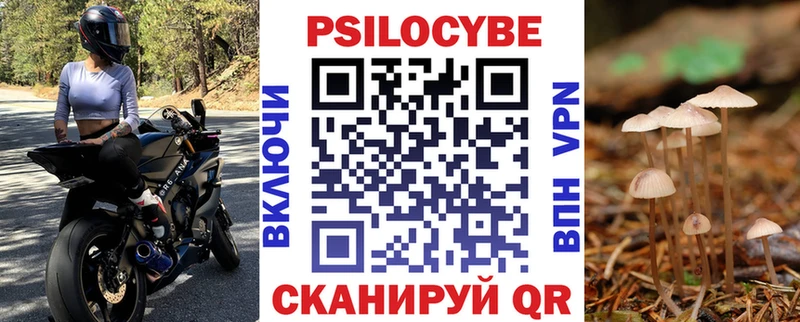 ОМГ ОМГ зеркало  где можно купить   Пласт  Галлюциногенные грибы мухоморы 